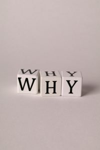 why-ann-h-15368263 by . assessment